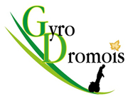 Gyro Dromois